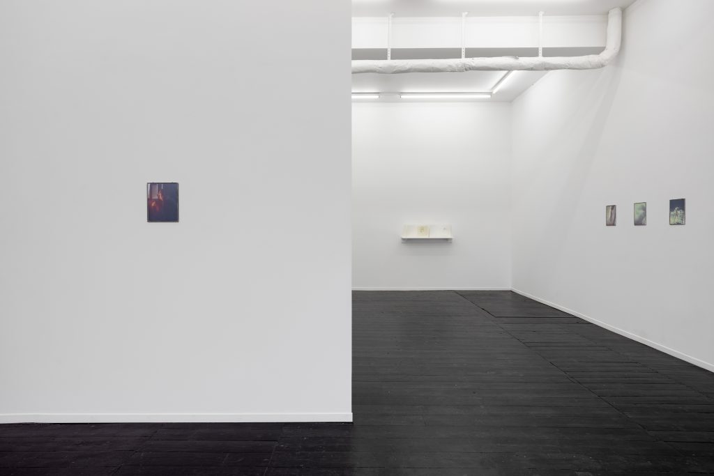 Installation view, Marina Grize, Ditta Baron Hoeber, and Olivia Jia at Kendall Koppe. framed photographs, works on paper and paintings on white wall.