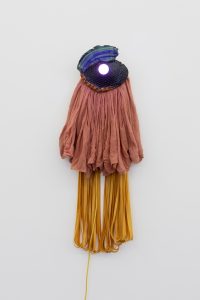 a figure clothed in plant dyed fabrics